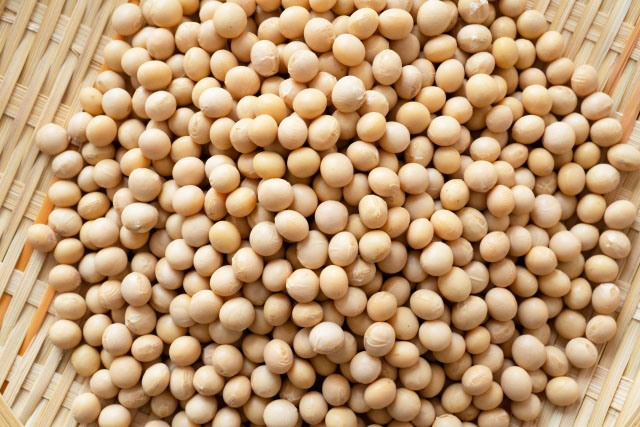 大豆タンパク質