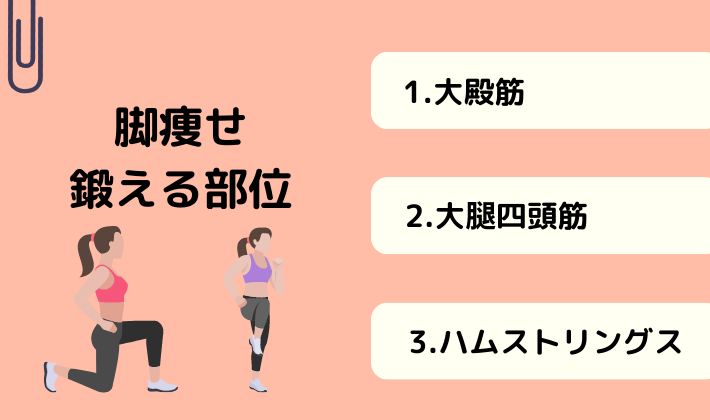脚痩せ鍛える部位