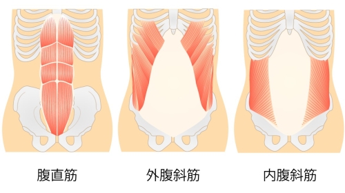 腹筋